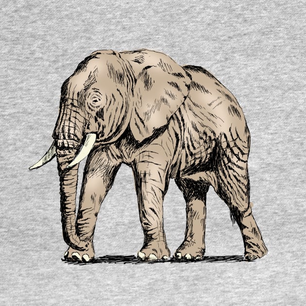 Elephant Print by rachelsfinelines